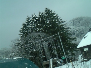 旭川→札幌は雪１