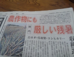 北日本新聞の記事