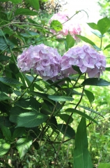 73