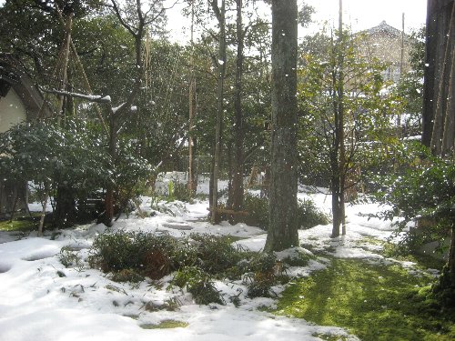 いろは草庵の雪景色